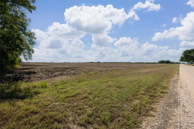 a view of a big yard