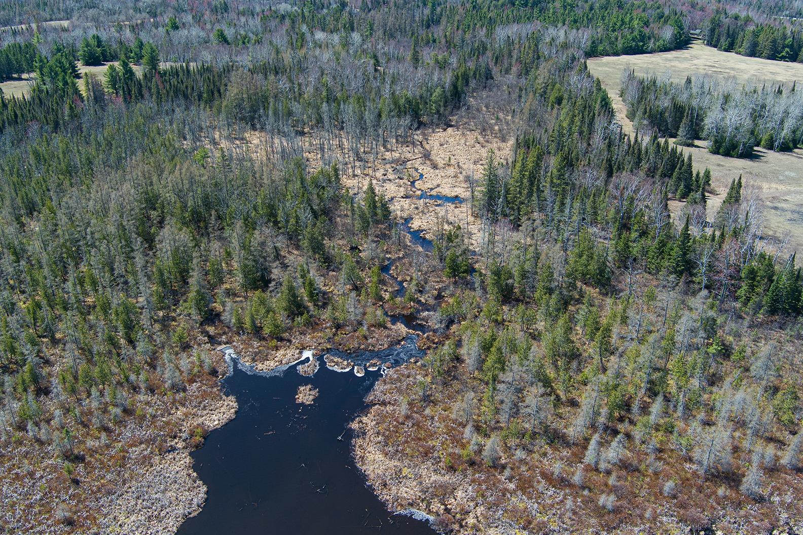 Three South Big Lake Loop Road, Unit 69AC Three Lakes, WI 54562 - Photo 29 of 30 Gallery Image 29