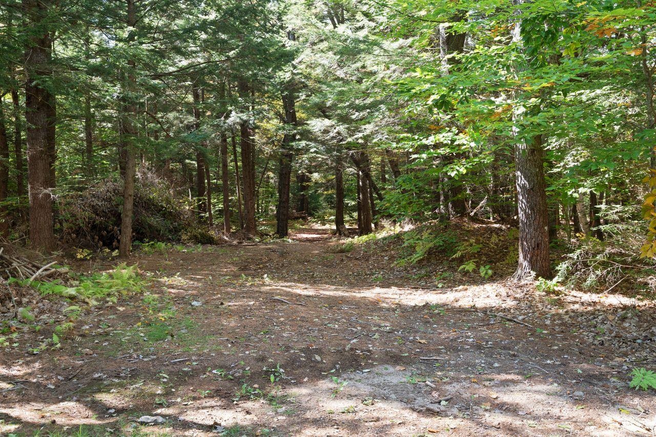 87 Garney Road Brookfield, NH 03872 - Photo 37 of 37