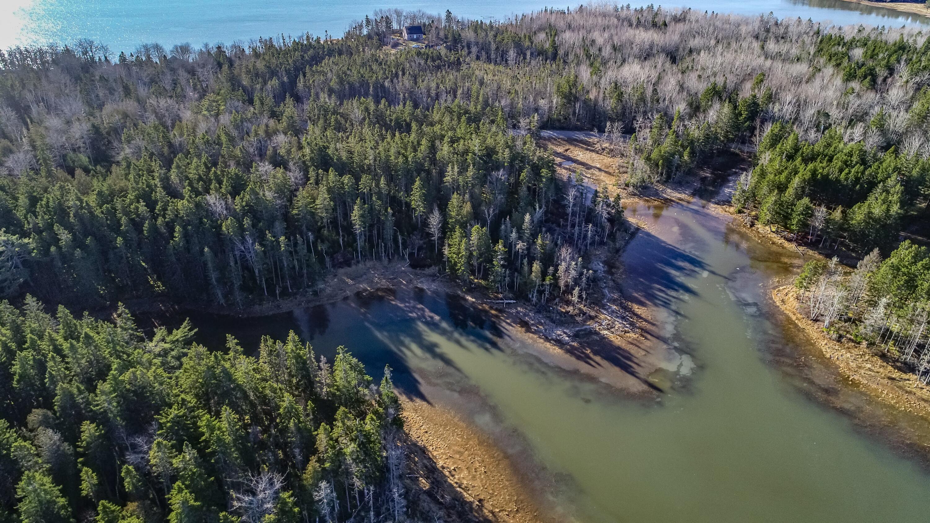 M2-l175a Rays Point Road Milbridge, ME 04658 - Photo 10 of 13 Ray's Point Road Land Aerials-6
