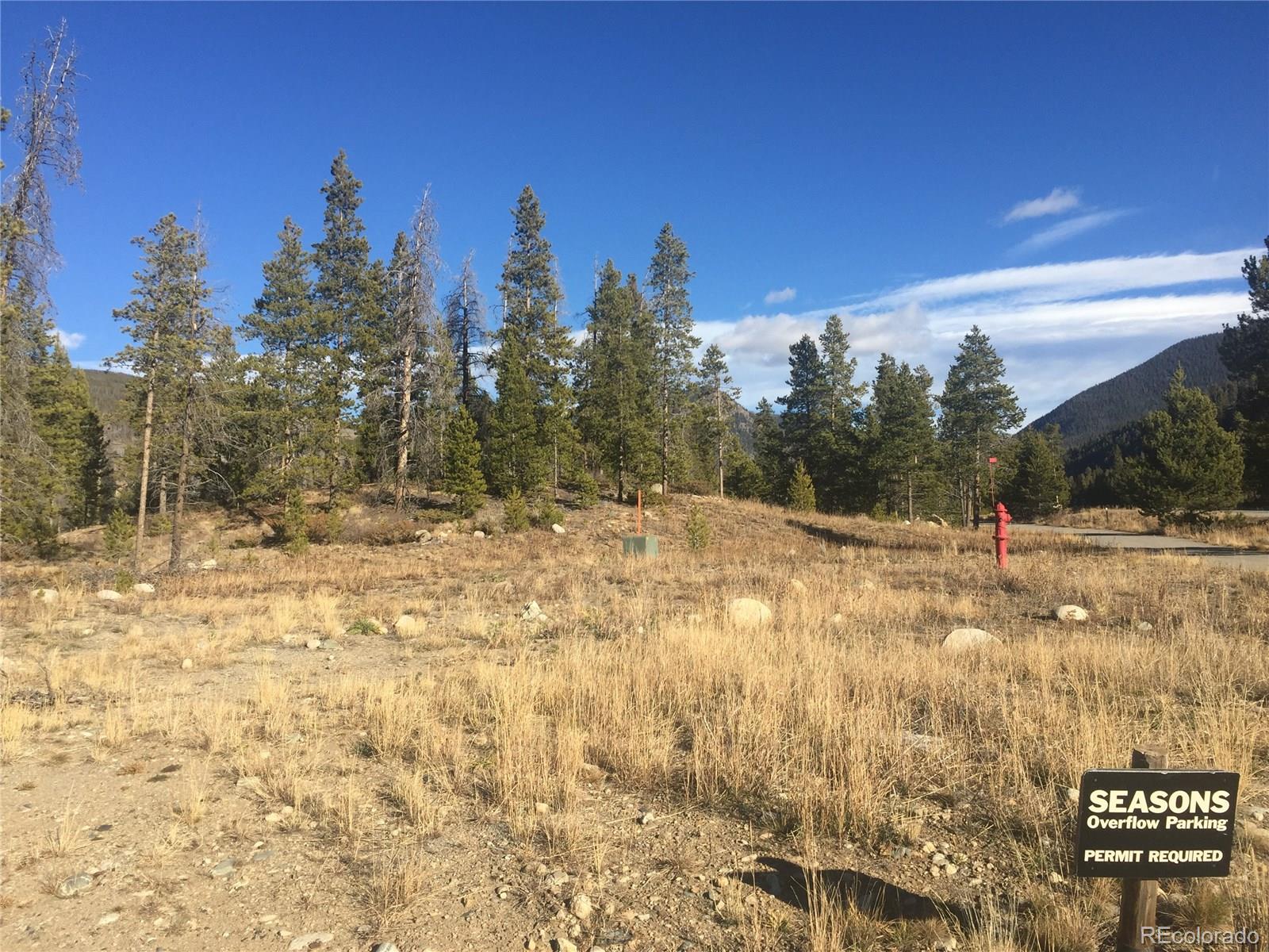 0042 Lake Ridge Circle Keystone, CO 80435 - Photo 13 of 16 a view of a yard with trees in the background