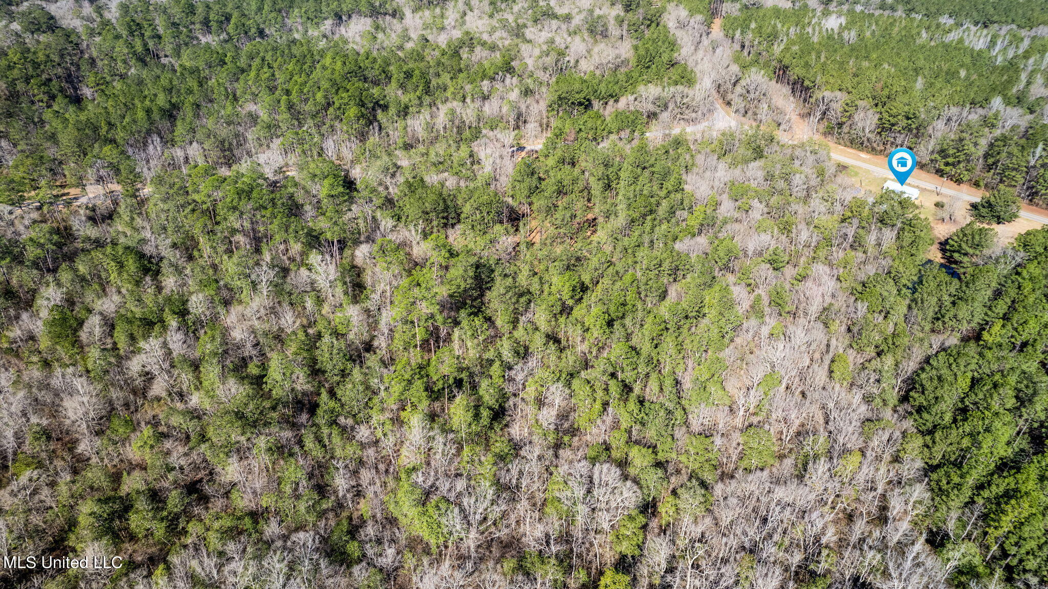 13 Red Creek Road Lumberton, MS 39455 - Photo 42 of 44 13_Red_Creek_Rd-41