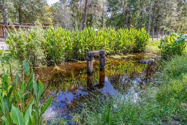 a backyard of a house with outdoor seating