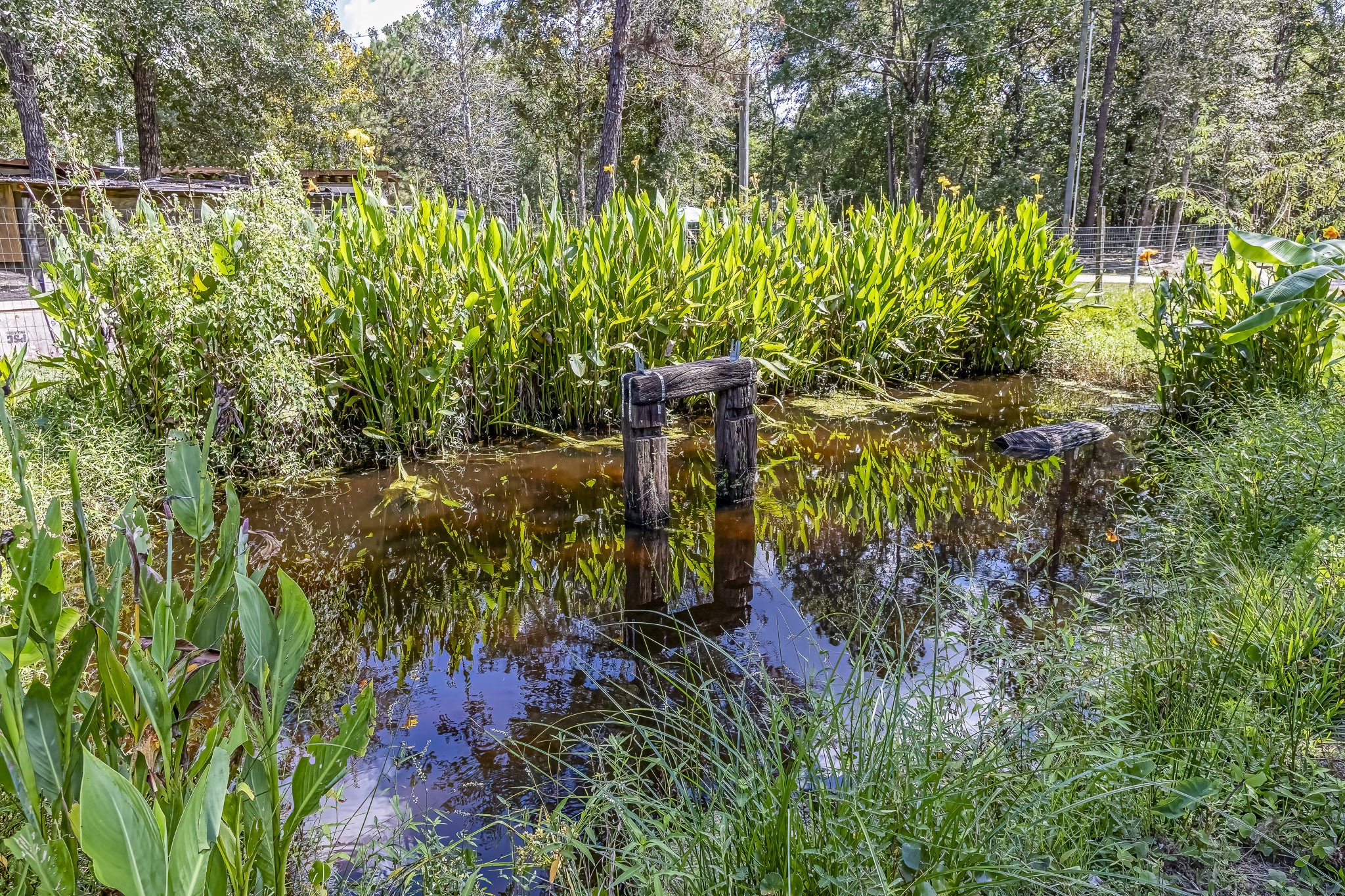 121 Tidwell Road Shepherd, TX 77371 - Photo 16 of 21