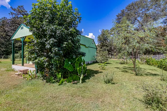 a backyard of a house with plants and large trees