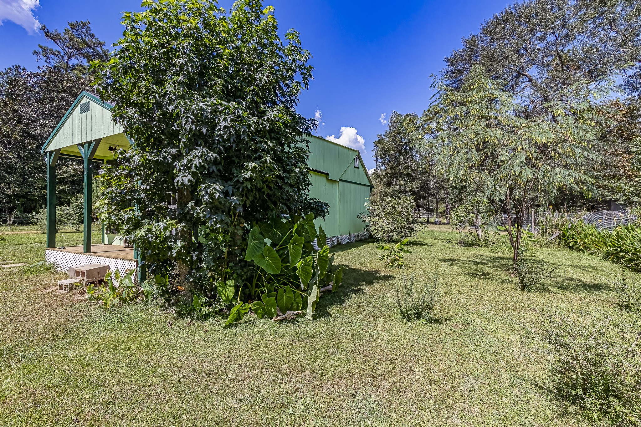 121 Tidwell Road Shepherd, TX 77371 - Photo 17 of 21 a view of a garden