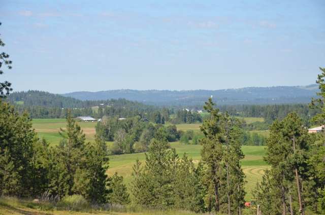 222-xx North Dunn Road Colbert, WA 99005 - Photo 1 of 9