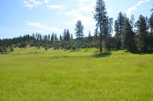 222-xx North Dunn Road Colbert, WA 99005 - Photo 3 of 9