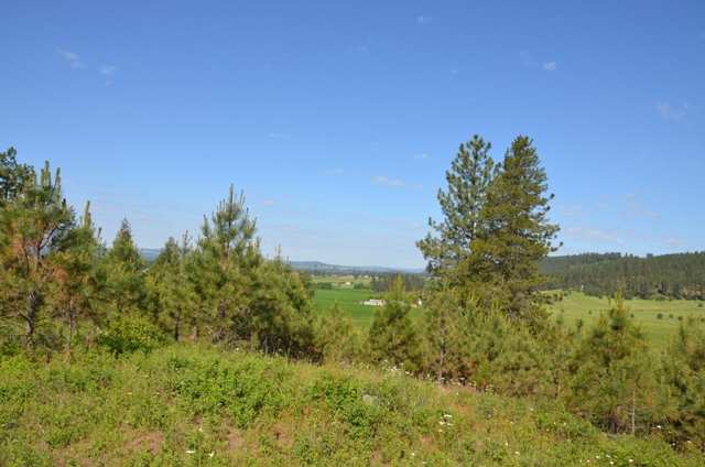 222-xx North Dunn Road Colbert, WA 99005 - Photo 4 of 9