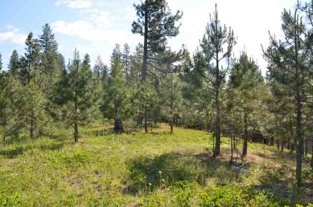 222-xx North Dunn Road Colbert, WA 99005 - Photo 5 of 9