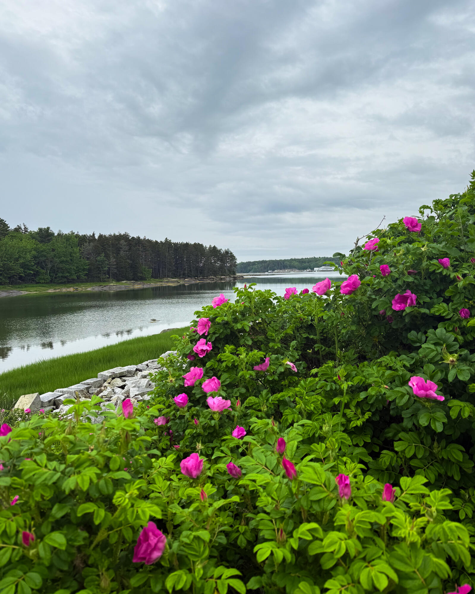 260 Clark Island Road St. George, ME 04859 - Photo 44 of 52 ClarkIsland-1