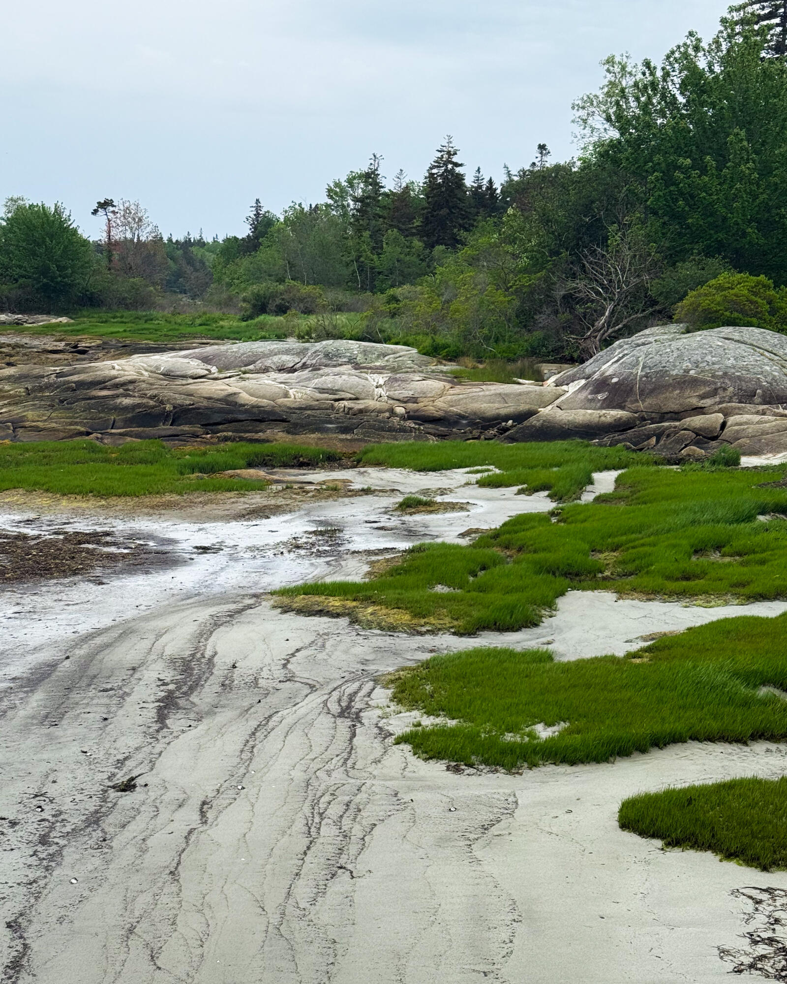 260 Clark Island Road St. George, ME 04859 - Photo 45 of 52 ClarkIsland-2
