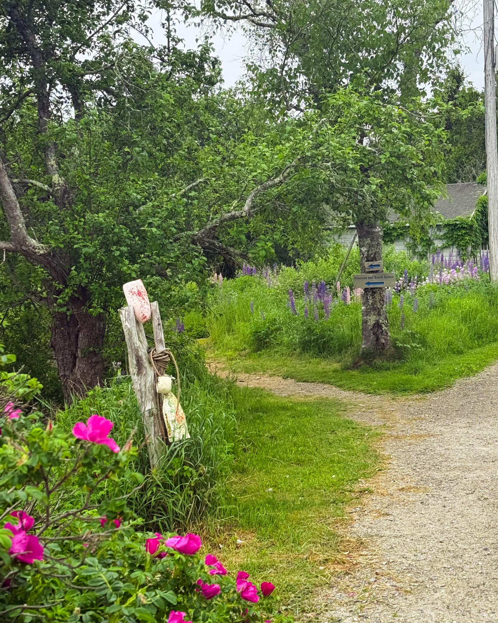 260 Clark Island Road St. George, ME 04859 - Photo 46 of 52 ClarkIsland-3