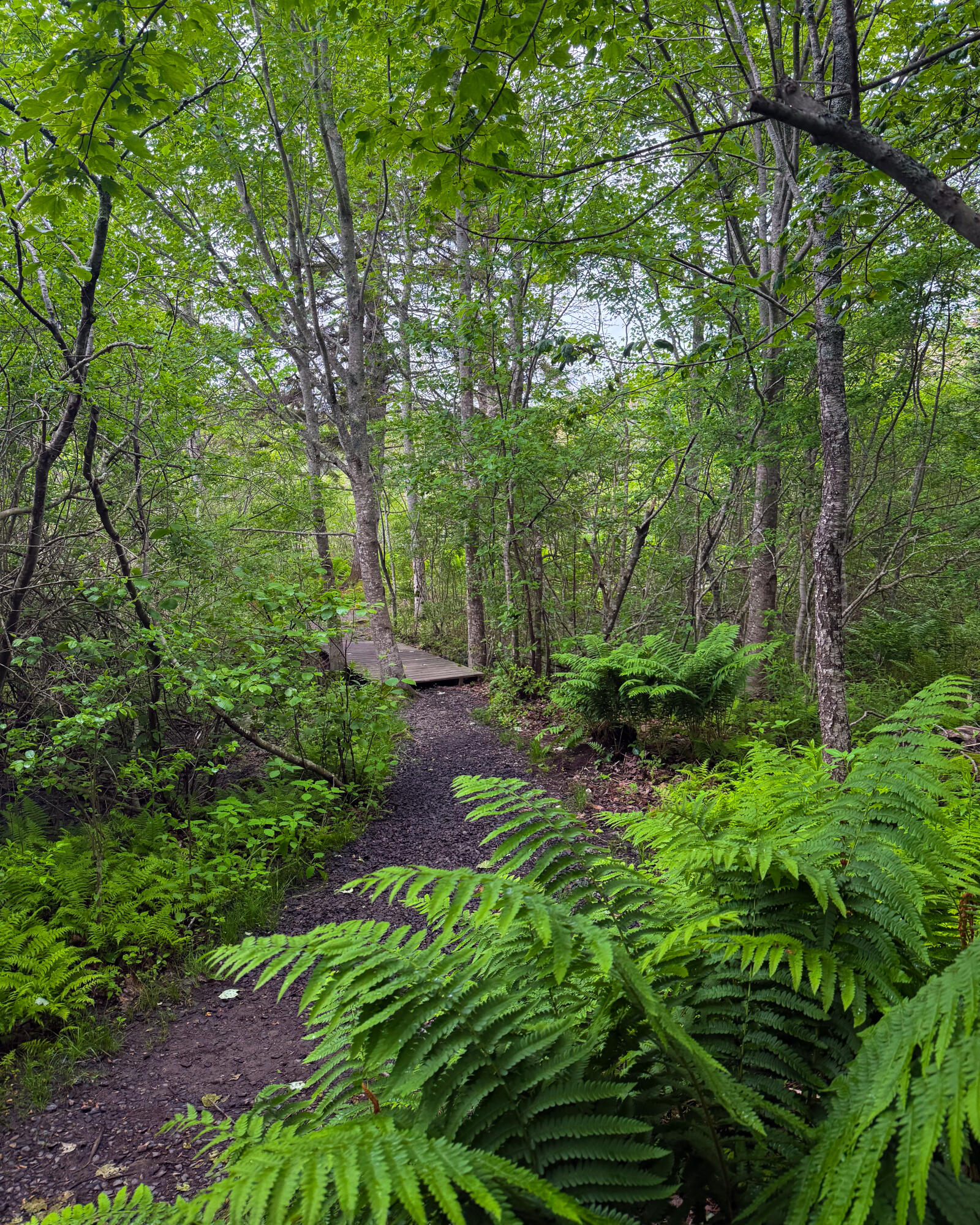 260 Clark Island Road St. George, ME 04859 - Photo 48 of 52 ClarkIsland-5