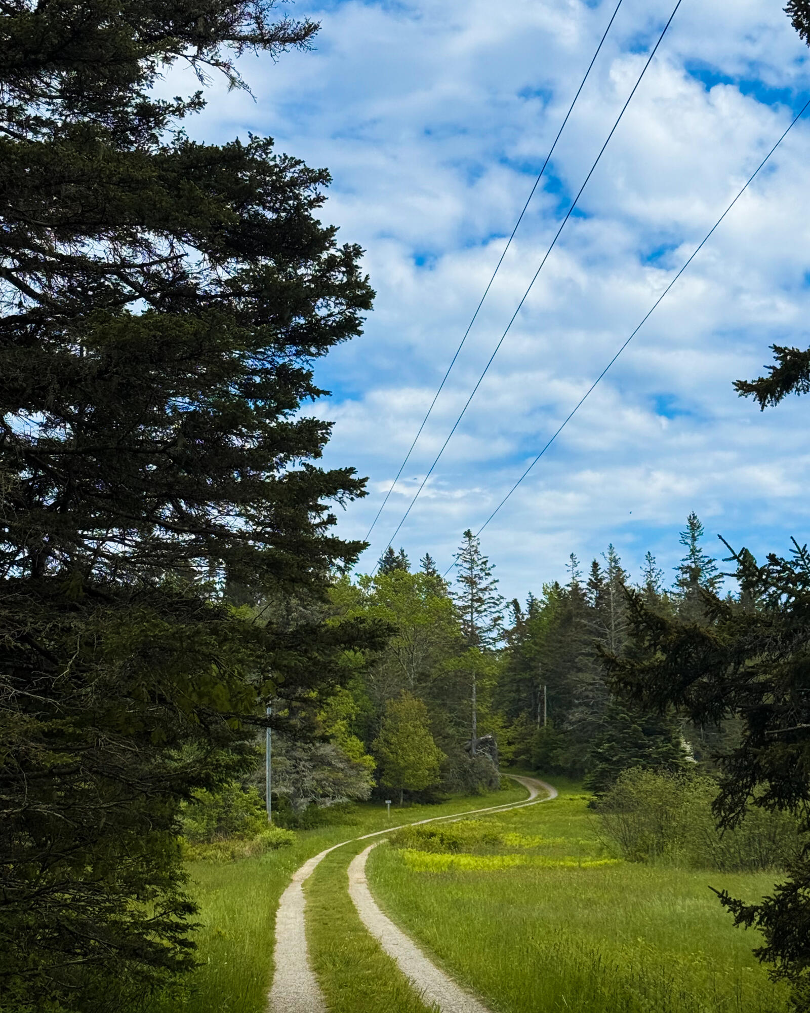 260 Clark Island Road St. George, ME 04859 - Photo 49 of 52 Clark Island trails