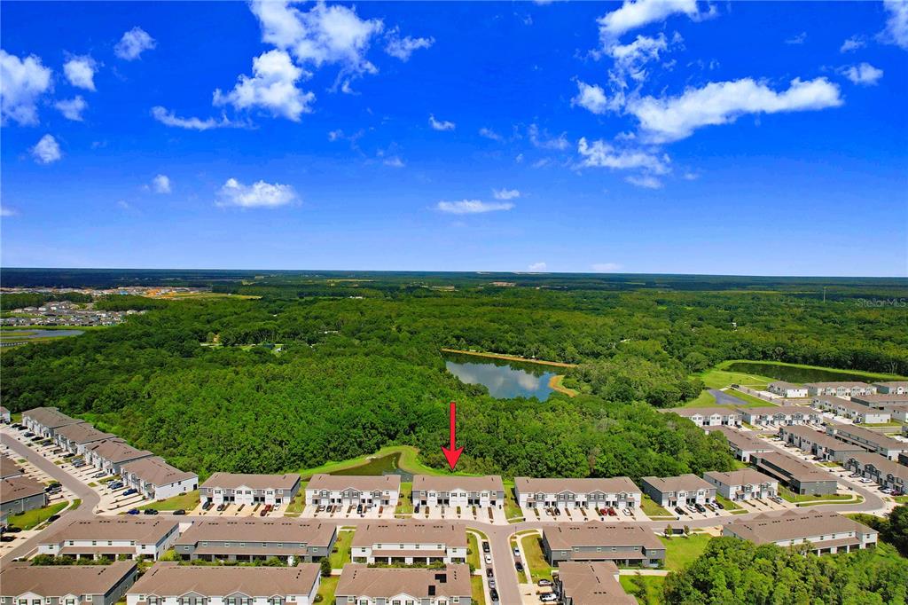 32934 Kaloko Road Wesley Chapel, FL 33543 - Photo 34 of 39 a view of a city