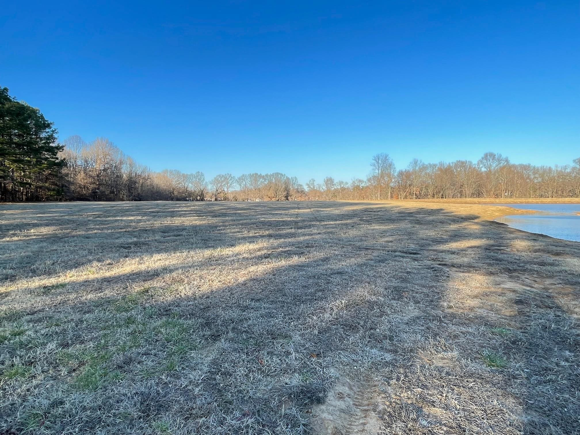 560 Sanders Bluff Road Humboldt, TN 38343 - Photo 13 of 29 Photo 13