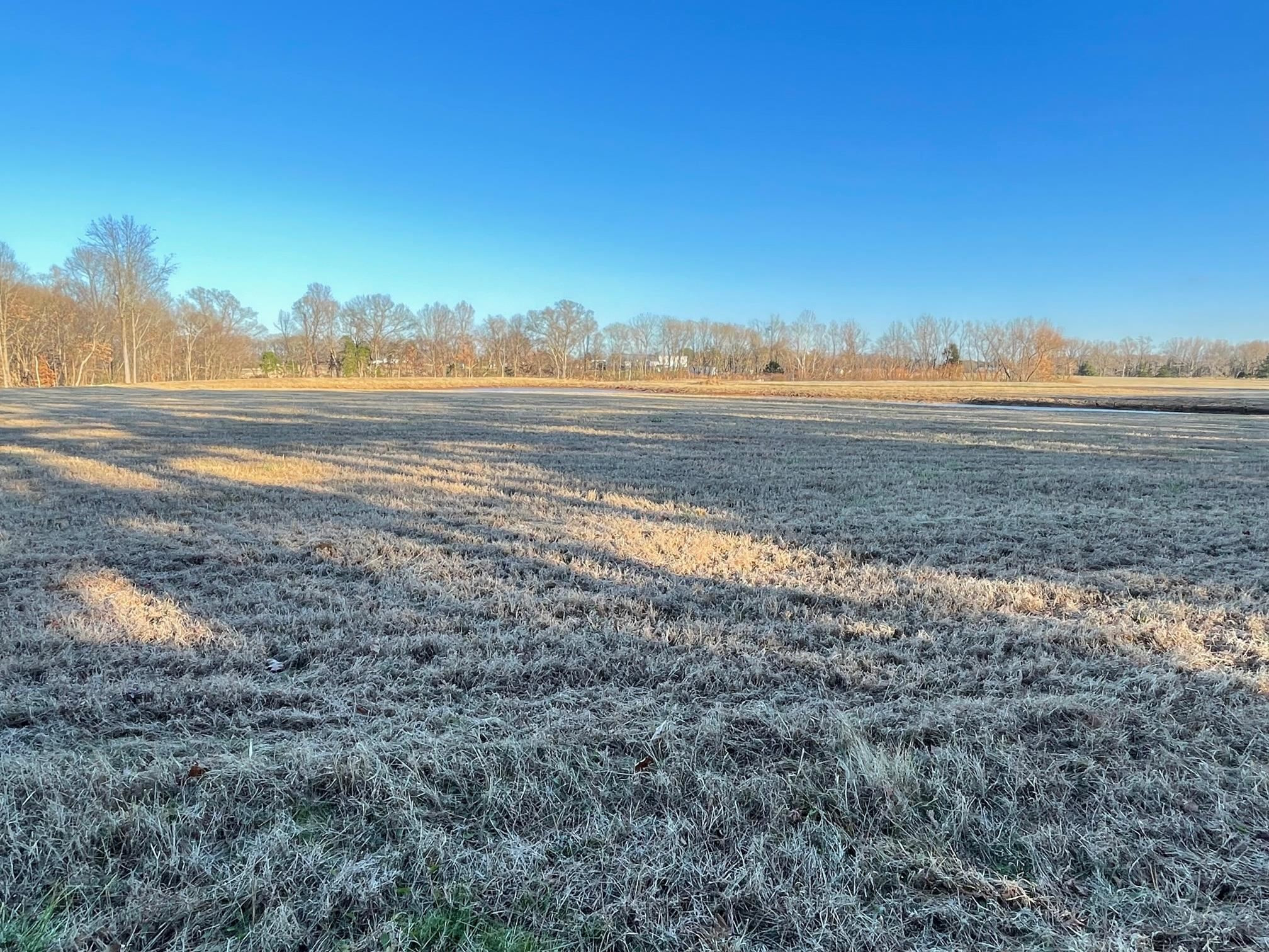 560 Sanders Bluff Road Humboldt, TN 38343 - Photo 22 of 29 Photo 22