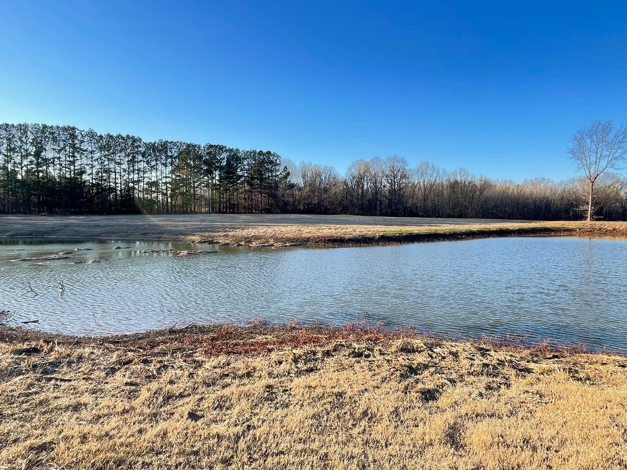 560 Sanders Bluff Road Humboldt, TN 38343 - Photo 26 of 29 Photo 26