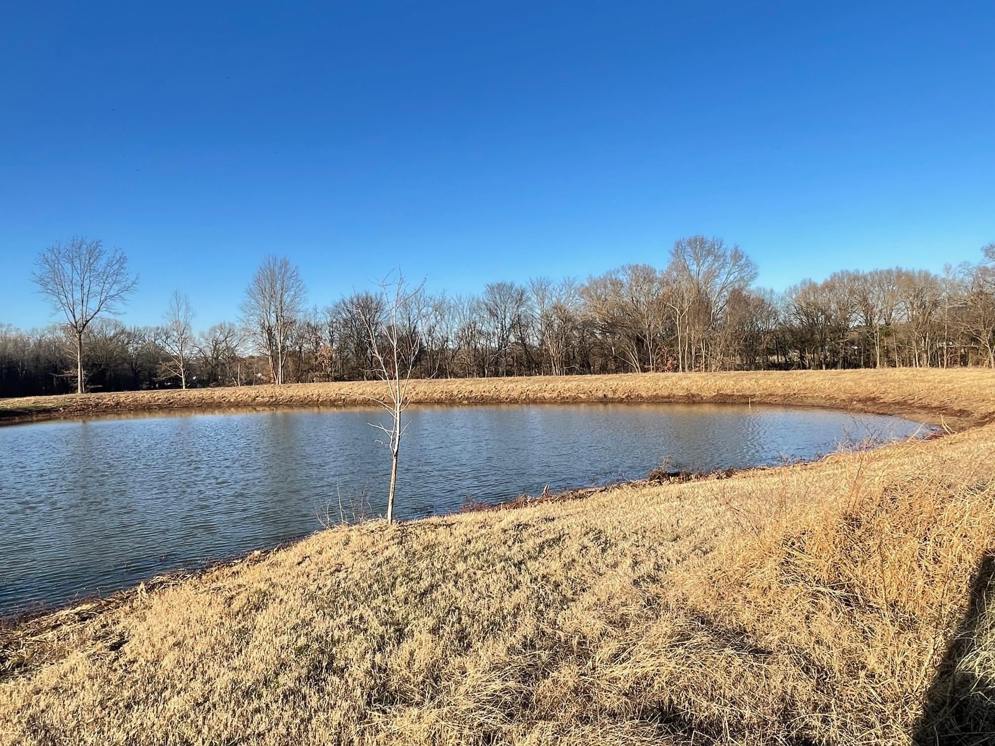 560 Sanders Bluff Road Humboldt, TN 38343 - Photo 27 of 29 Photo 28