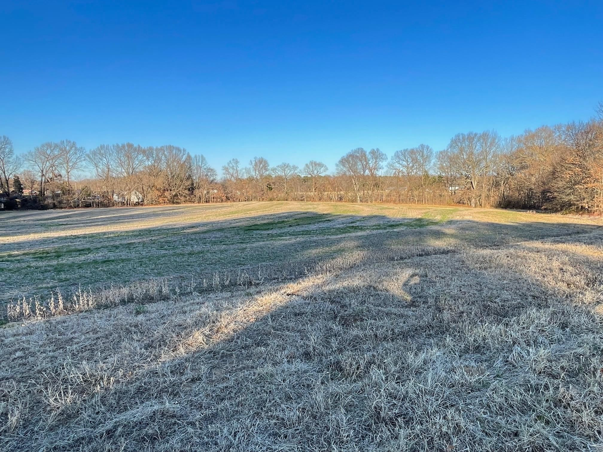 560 Sanders Bluff Road Humboldt, TN 38343 - Photo 3 of 29 Photo 3