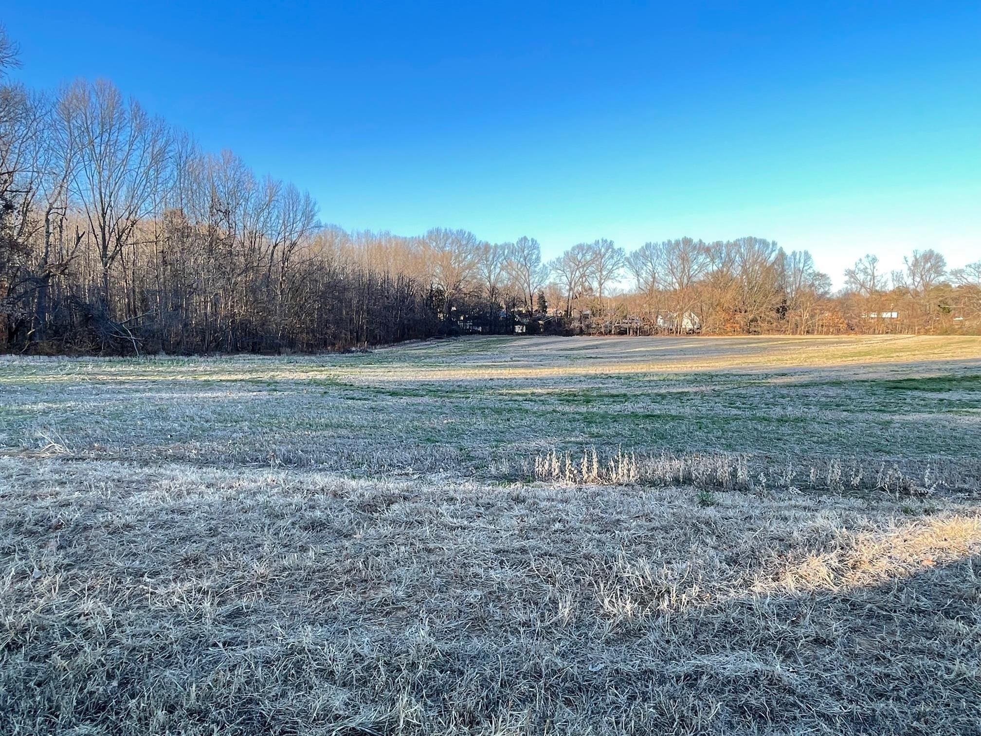 560 Sanders Bluff Road Humboldt, TN 38343 - Photo 4 of 29 Photo 4