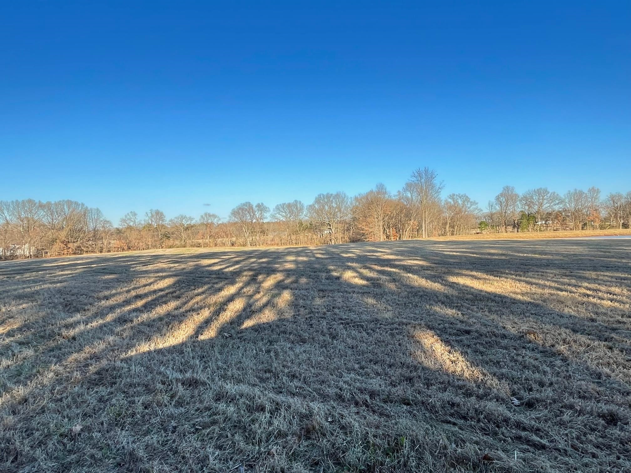 560 Sanders Bluff Road Humboldt, TN 38343 - Photo 5 of 29 Photo 5