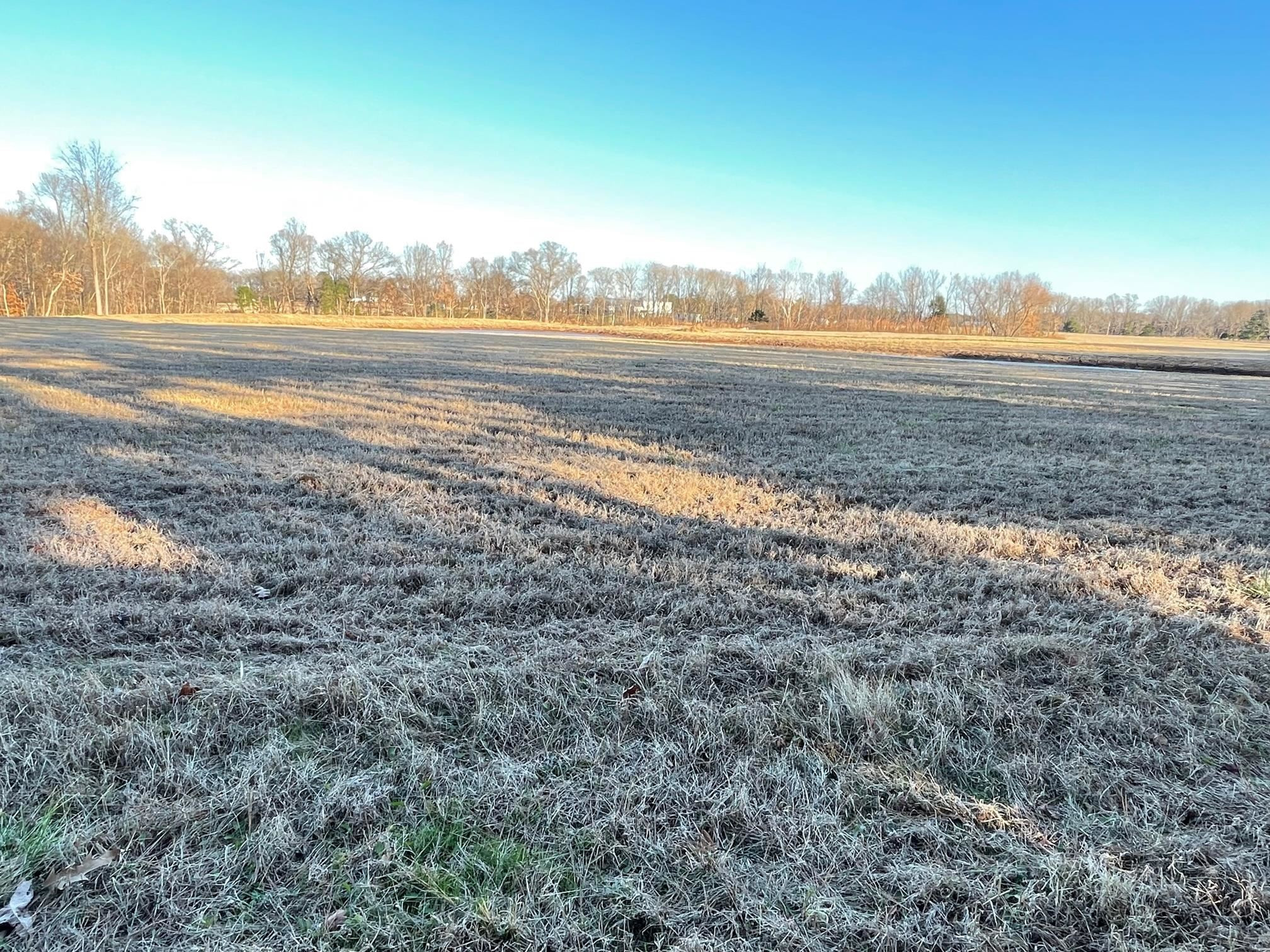 560 Sanders Bluff Road Humboldt, TN 38343 - Photo 6 of 29 Photo 6
