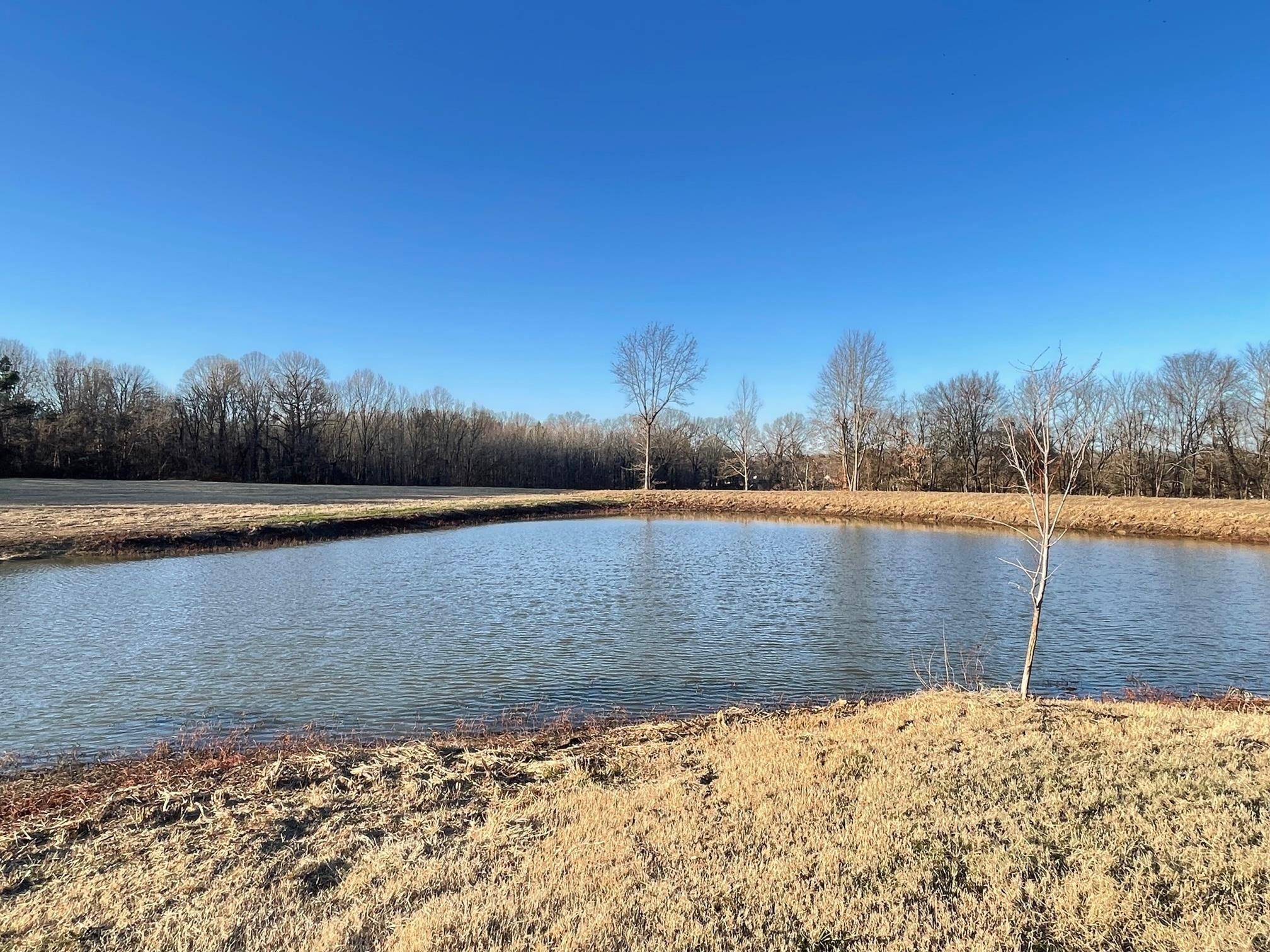 560 Sanders Bluff Road Humboldt, TN 38343 - Photo 7 of 29 Photo 7