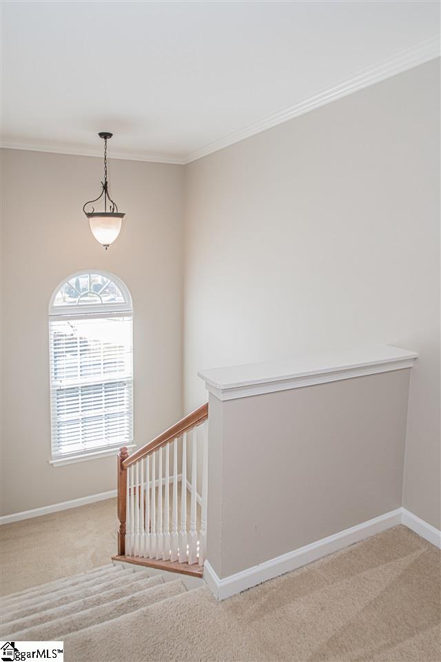 359 Amberleaf Way Simpsonville, SC 29681 - Photo 28 of 34 Gallery Image 28