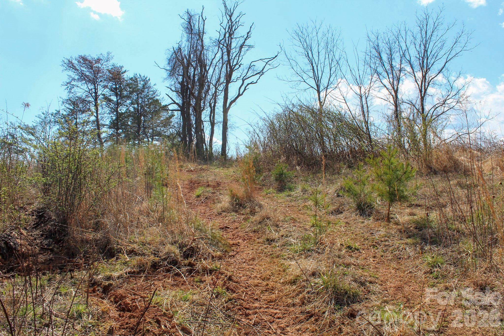 99999 Fletcher Martin Road Alexander, NC 28701 - Photo 22 of 47 Gallery Image 22