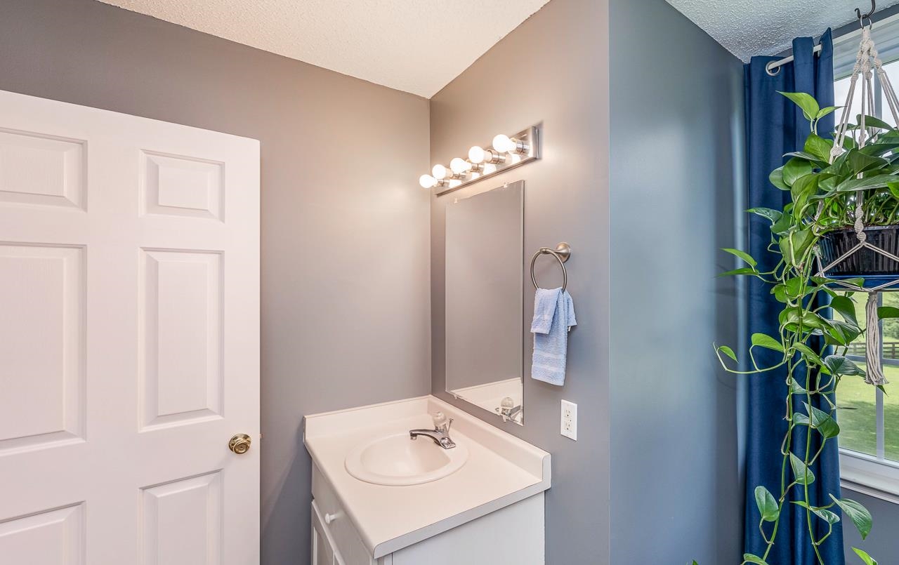 302 Rabbit Run Road Enoree, SC 29335 - Photo 24 of 44 Gallery Image 24
