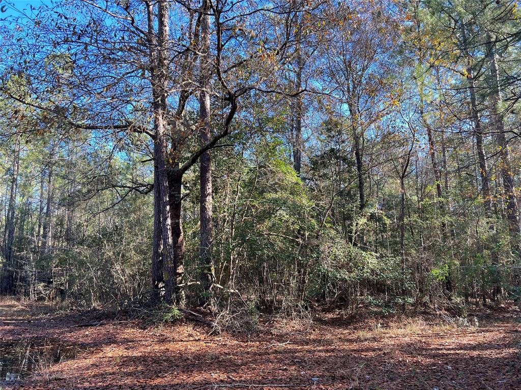 5350 Murphy Oil Rd Vlg Mls  