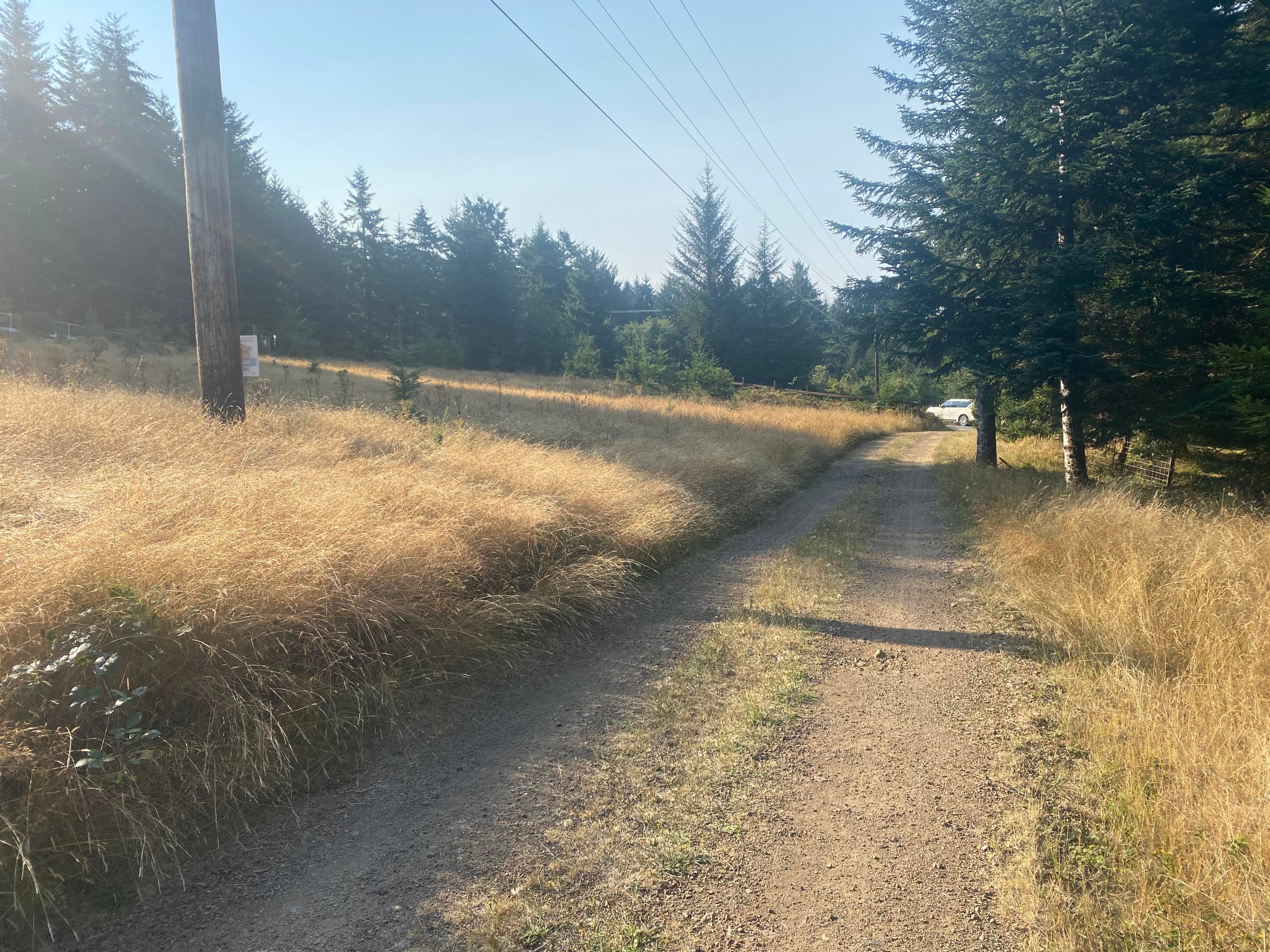 95845 Cape Ferrelo Road Brookings, OR 97415 - Photo 2 of 8 IMG_5395