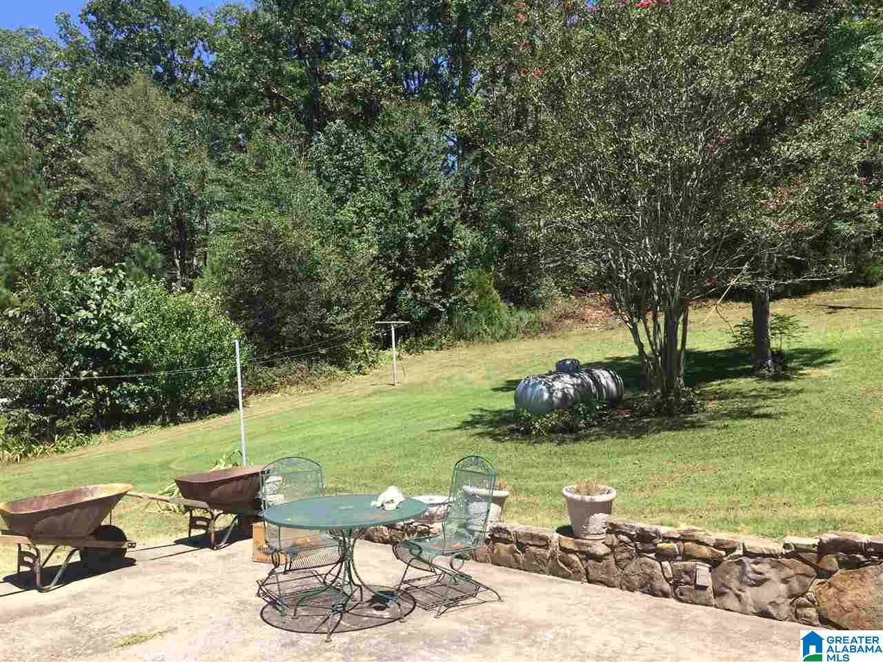 4191 Spunky Hollow Road Remlap, AL 35133 - Photo 27 of 29