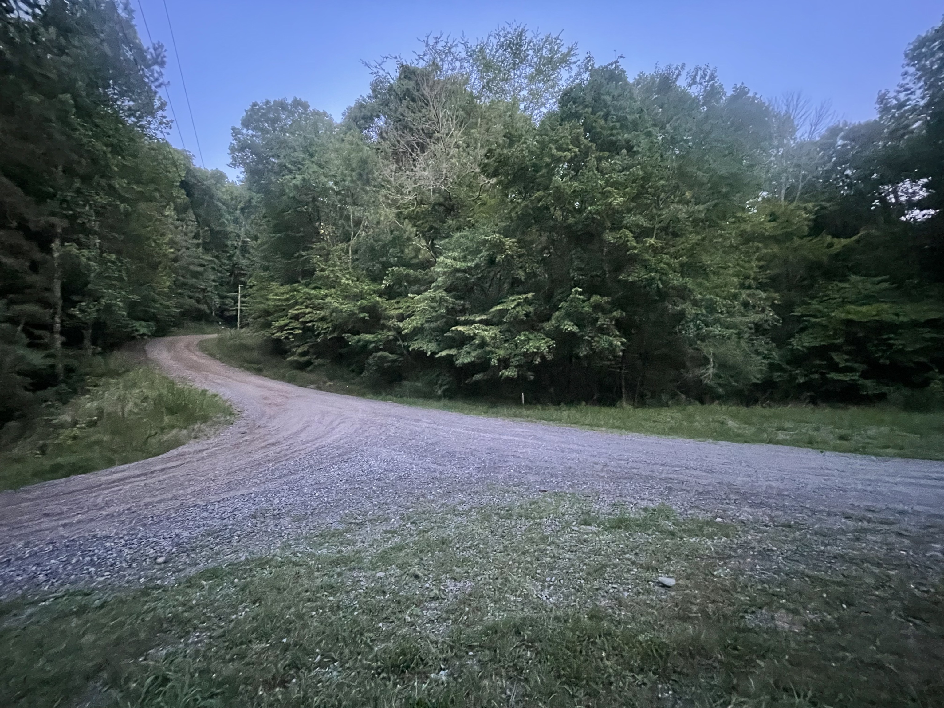595 Ocelot Ranger, GA 30734 - Photo 2 of 31 a view of a yard with a tree