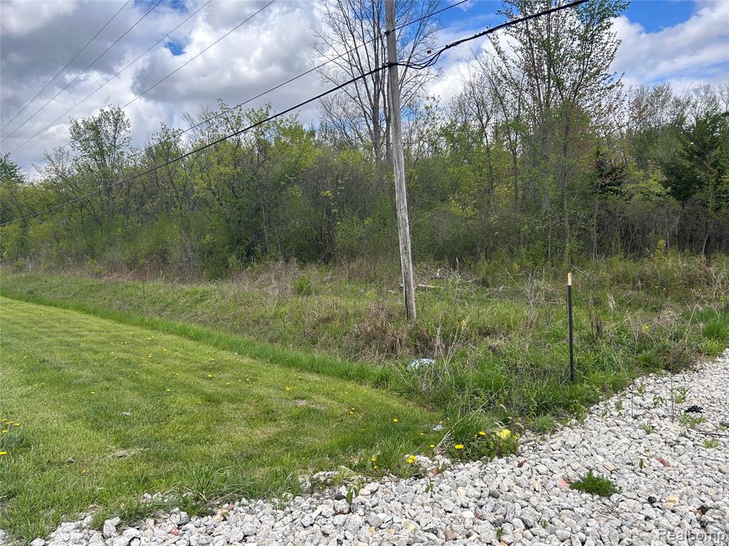 0 Dixie Highway Birch Run, MI 48415 - Photo 2 of 3