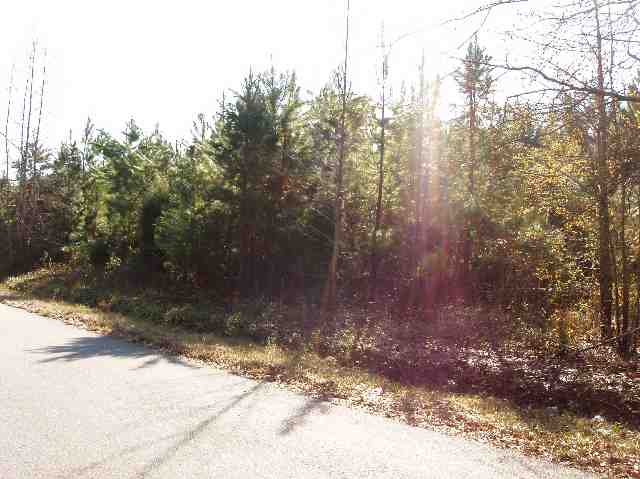 414 Pettigrew Road Starr, SC 29684 - Photo 3 of 4