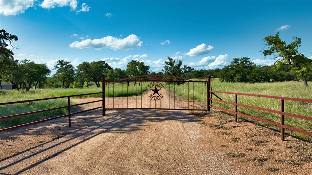 1411 Grape Creek Road Fredericksburg, TX 78624 - Photo 10 of 44
