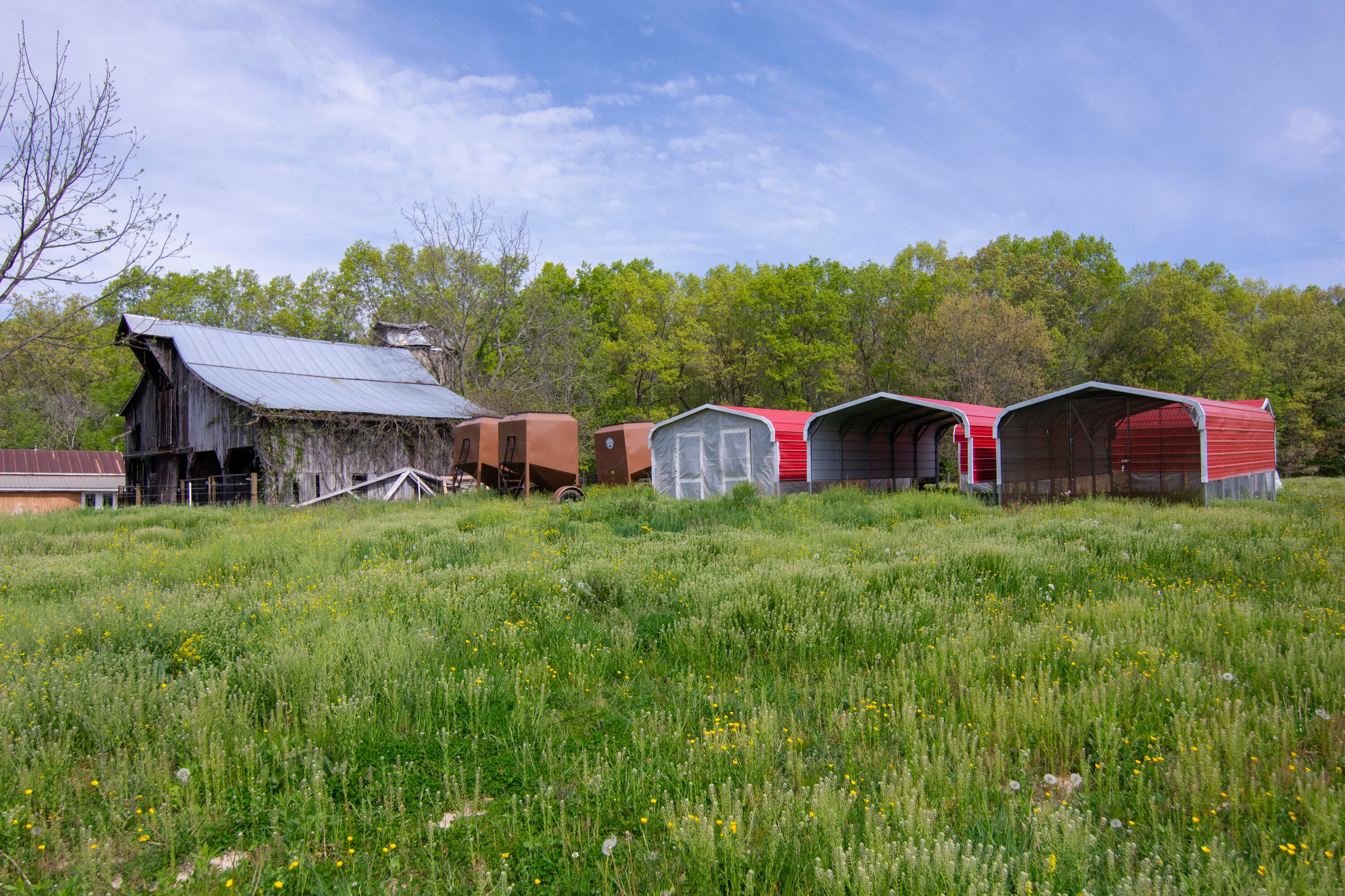 2569 Anthony Road Frankford, WV 24938 - Photo 84 of 133 Gallery Image 84