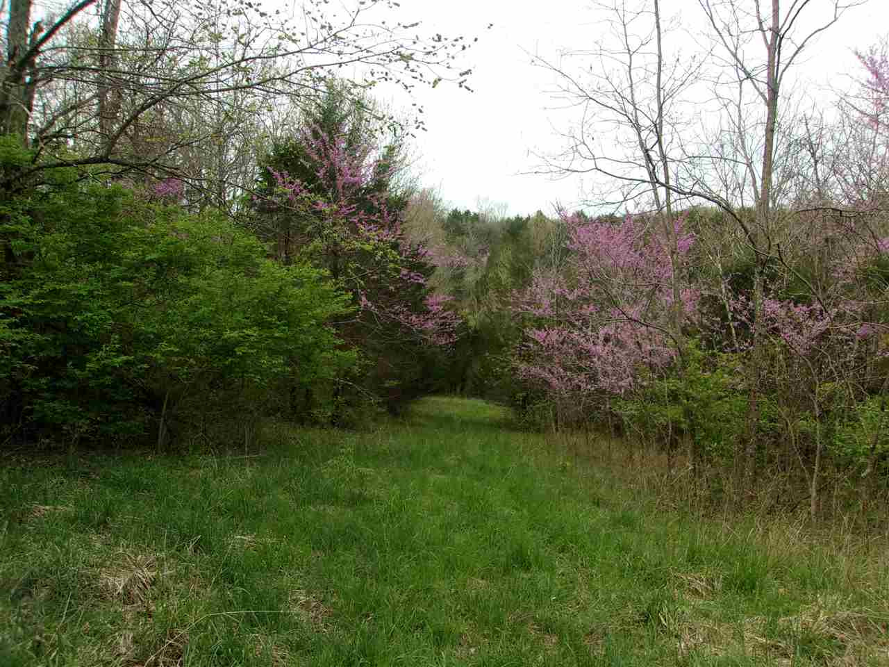 2473 Salem Ridge Road Brooksville, KY 41004 - Photo 13 of 48 Gallery Image 13