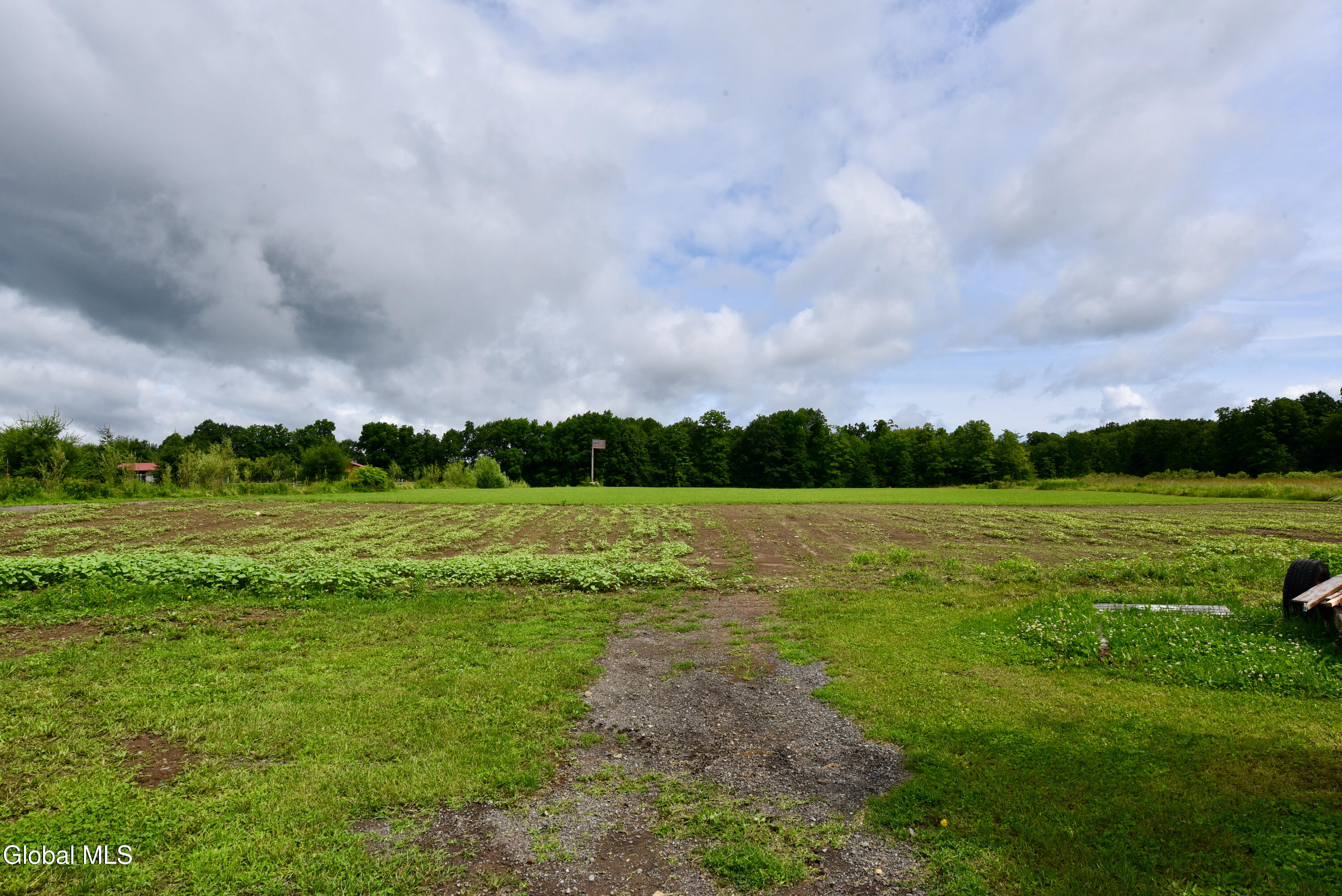 605 Plummer Road Ballston Spa, NY 12020 - Photo 58 of 64 Back yard