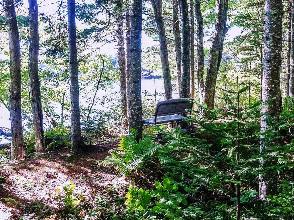 263 Walker Road Lamoine, ME 04605 - Photo 31 of 43 L-30