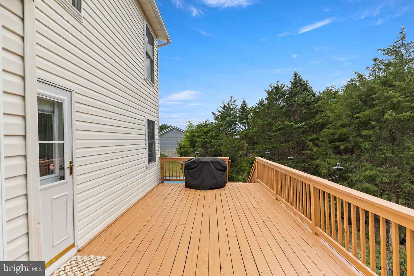 1233 Country Brook Road Toms Brook, VA 22660 - Photo 11 of 52