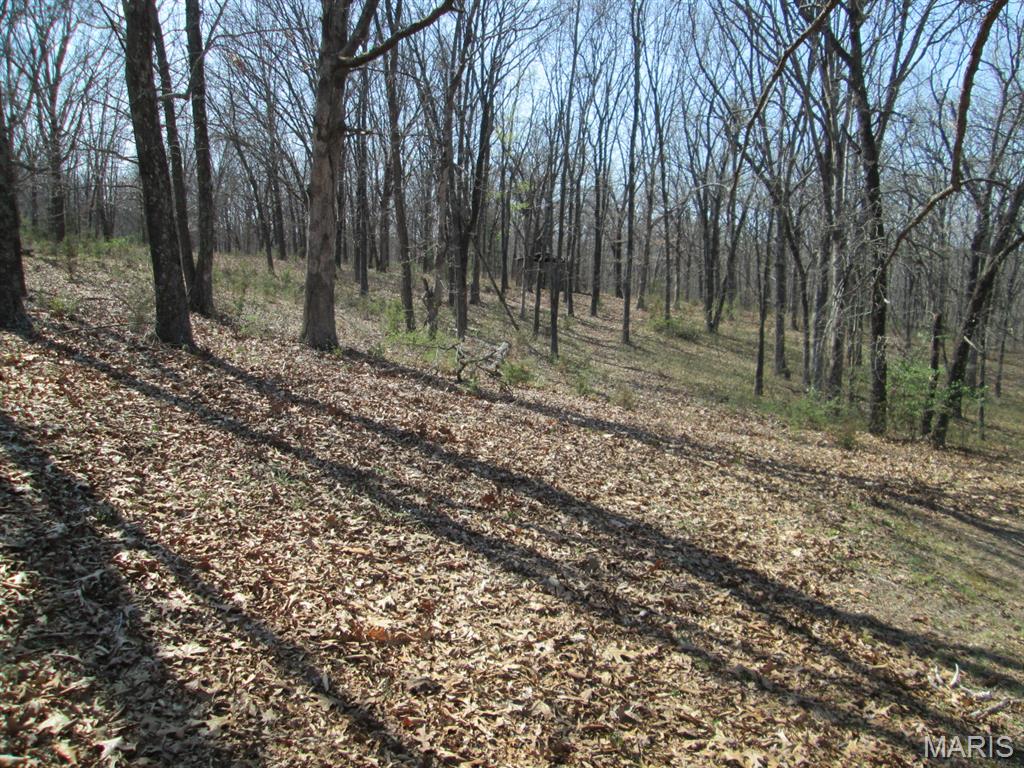 531 Pickles Ford Road St. Clair, MO 63077 - Photo 35 of 37