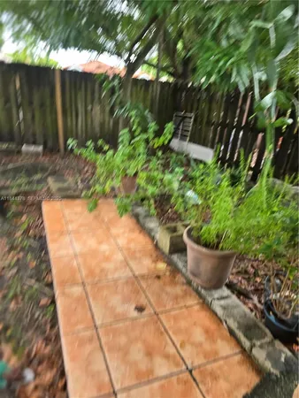 a view of a backyard with plants and plants