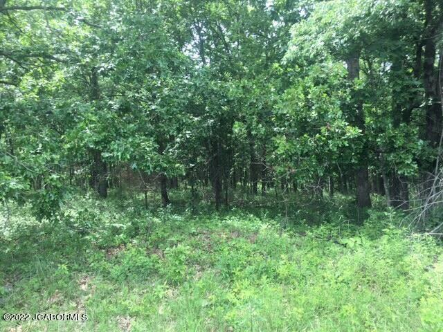 4533 State Rd Jj Fulton, MO 65251 - Photo 57 of 60