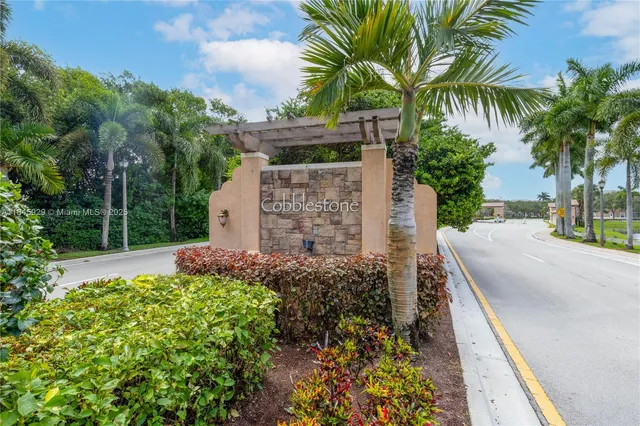 a view of a garden with plants