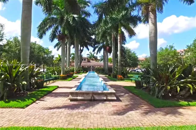 a view of small yard with palm trees