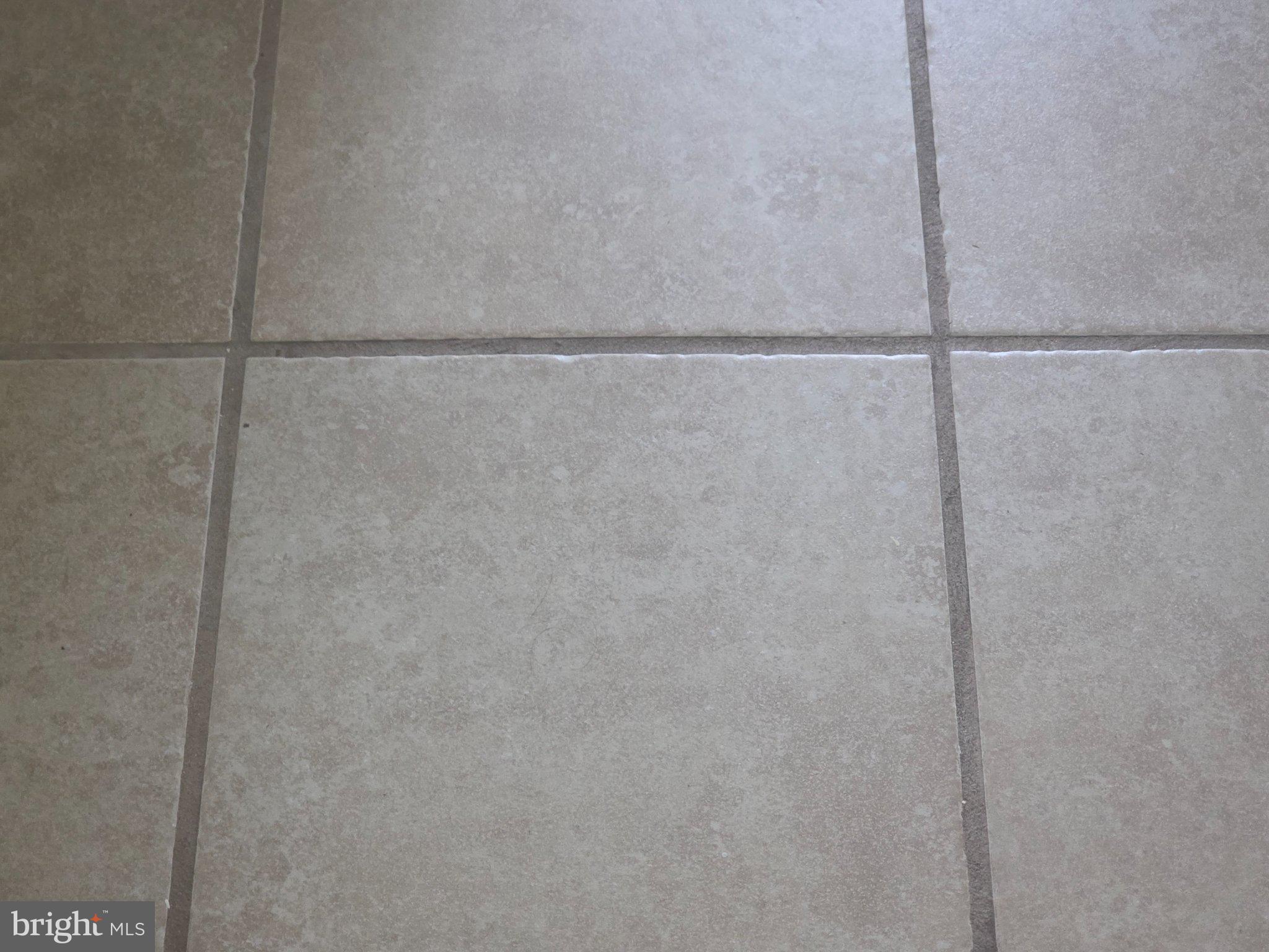 55 South Hazel Street Manheim, PA 17545 - Photo 19 of 36 Elegant neutral tile flooring.